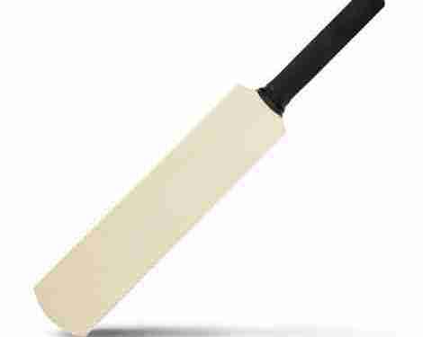 Mini Cricket Bat