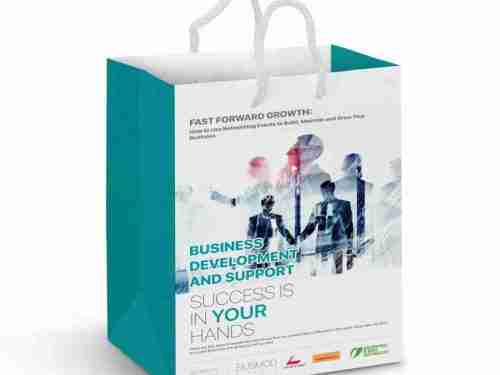 Medium Laminated Paper Carry Bag – Full Colour