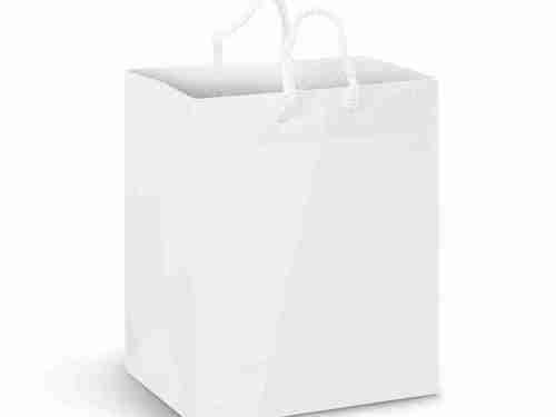 Medium Laminated Paper Carry Bag – Full Colour