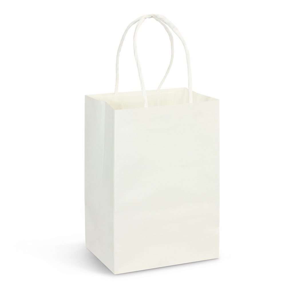 small-paper-carry-bag-cml-promotions