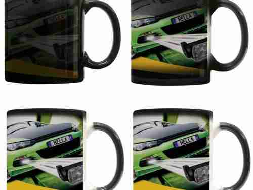 Chameleon Coffee Mug